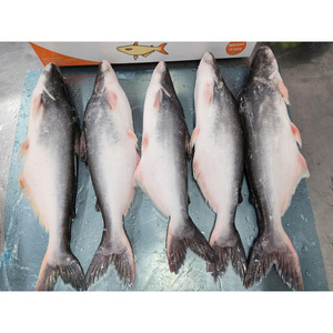 สำหรับ<span class=keywords><strong>ราคา</strong></span>ตลาดแอฟริกาและตะวันออกกลาง - Product Image 5