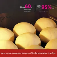 Boîte de fermentation commerciale pour pains, pains vapeur, pâte à pain, cuiseur vapeur entièrement automatique à température constante