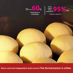 Forno a Vapore Commerciale per Panini e Pane, Fermentazione Automatica a Temperatura Costante - Product Image 4