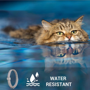 Correa de Nailon Reflectante Personalizada al por Mayor, Correa de Lujo para Mascotas con Diseño de Dibujos Animados para Gatos y Perros Pequeños con Campana - Product Image 3