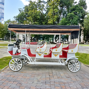 Carroza de Lujo Única de Acero para Caballos, Estilo Europeo, para 8 Personas, Eléctrica, para Paseos Turísticos - Product Image 6