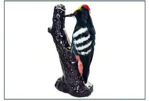 Modelo de anatomía de pájaro carpintero, exhibición detallada de la morfología de aves para la educación en biología y la popularización de la ciencia - Product Image 5