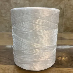 Polypropylene 0.5mm 1600m/kg PP Raffia Twine Rope UV-treated Twisted String 1 Pound Roll