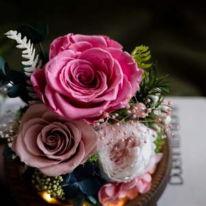 Eternidad eterna encantada eterna Infinity Forever eterna Rosa <span class=keywords><strong>precio</strong></span> Rosa preservada en cúpula de cristal con luz LED - Product Image 2