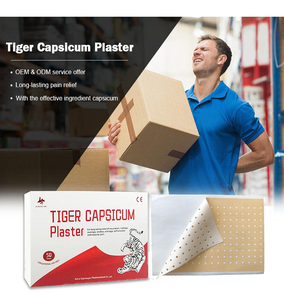 タイガーカプシカムヒートプラスター中国医学背中の痛み軽減製品OEM - Product Image 2