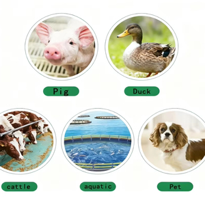 Additivi Chimici per Mangimi, Lisina L-HCL Grado Alimentare per Pollame, Sacchi da 25kg, 98.5% L-lisina Solfato 70% - Product Image 2