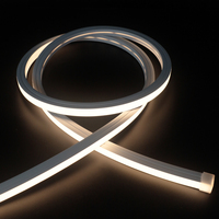 Bande lumineuse néon LED en silicone RGB à émission supérieure de 1616 mm, DC24V, étanche IP67, USB, pour extérieur et aménagement paysager