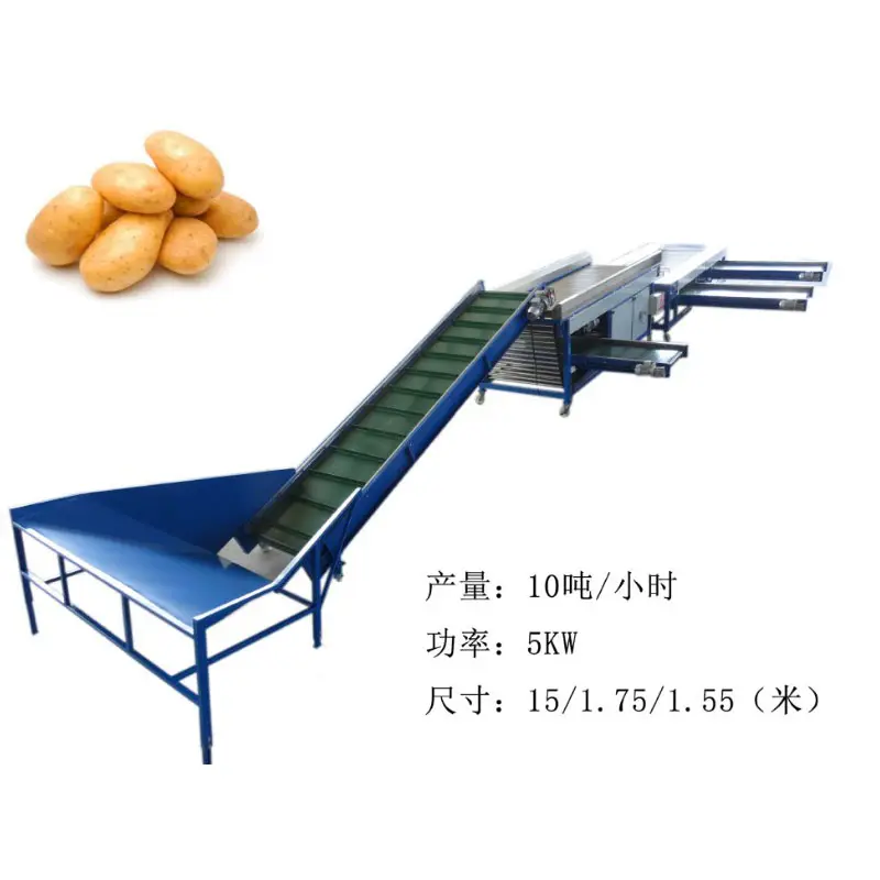 Roller Type Vegetable Fruit Classifier 8-10T/h Potato Onion Grading Machine Size Sorting Machine Price