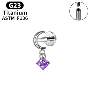 G23 Titan Hợp Kim Mặt Trăng Bông Tai Lip Nhẫn Thời Trang Hàng Ngày Đồ Trang Sức Cơ Thể Zircon Mặt Dây Chuyền Claw Thiết lập 10Mm Cho Đám Cưới - Product Image 4