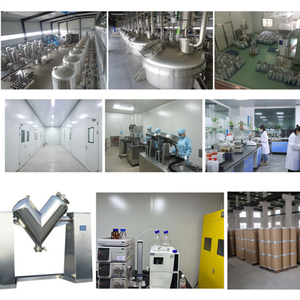 100% thảo dược tự nhiên bồ công anh lá chiết xuất bột 10:1 bồ công anh chiết xuất 1kg số lượng lớn cấp thực phẩm - Product Image 5