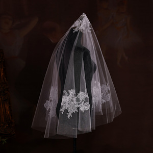 Nouveau <span class=keywords><strong>voile</strong></span> en dentelle pour la mariée, style studio, photos d'exemple, séance photo de mariage, <span class=keywords><strong>voile</strong></span> haute transparence couvrant le visage - Product Image 4