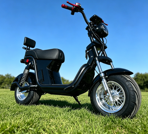 Moto à grande vitesse avec batterie au plomb 110V, vélo électrique de course pour adultes avec certification CEE 1. Matériaux de qualité supérieure |   Robuste et résistant - Product Image 5