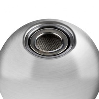 Chimenea de bioetanol con forma de bola de plata para jardín exterior de acero inoxidable