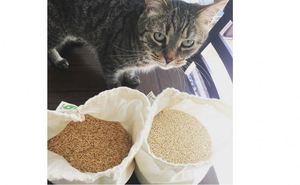 Bán Trực Tiếp Nhà Máy Túi Tái Sử Dụng Mang Theo Mua Sắm Tùy Chỉnh Big Plain Trống Oversized Tote Bag Phụ Nữ - Product Image 4