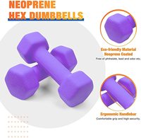 Ensemble d'haltères hexagonales solides de 20 kg pour l'exercice à domicile