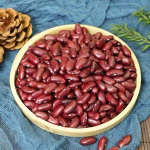Frijoles Rojos Secos, No Transgénicos, Legumbre Nutritiva para Cocinar, Enlatar, Venta al por Mayor, Paquete OEM, Fábrica de Alimentos y Distribuidores de Granos - Product Image 4