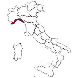 Premium Amaro Borsci 0,70 Lt 6 Botellas por Caja - Product Image 2