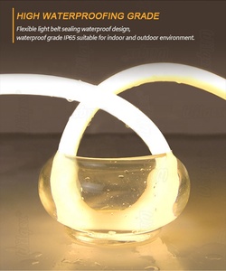 <span class=keywords><strong>Bande</strong></span> LED NOUVELLE 360 Degrés IP67 Étanche Flexible Néon Lumière Accessoires Complets Dimmable pour Design Intérieur Lumière Paysagère - Product Image 2