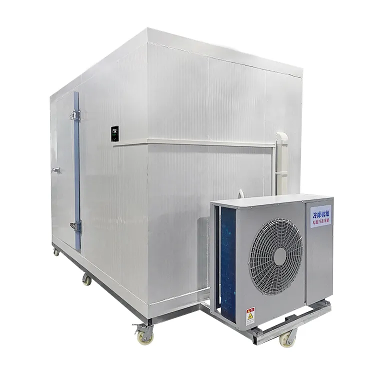 Câmara móvel Walk-In congelador industrial do armazenamento frio da refrigeração para a carne/peixes/sala fria vegetal