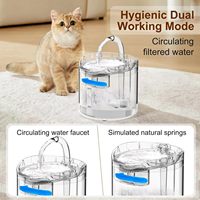 Fontaine à eau automatique portable et élégante pour animaux de compagnie, en plastique, à température constante, pour chats