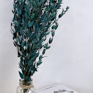 <span class=keywords><strong>Bougie</strong></span> Immortelle à Feuilles d'Eucalyptus Fines, Fleurs Séchées Préservées à la <span class=keywords><strong>Glycérine</strong></span>, Longue Durée (3-5 Ans), Autonome, Nouvel An - Product Image 5