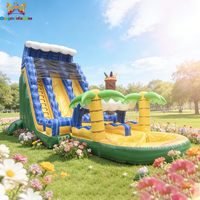 Vente directe usine : Grandes toboggans gonflables, jeux aquatiques éducatifs, PVC durable de qualité commerciale pour extérieur, jardin, écoles et fêtes