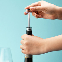 Vente en gros d'accessoires de vin de haute qualité aérateur verseur en verre carafe à vin et bouchon de vin sous vide