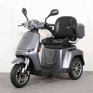 Usine chinoise 60V 800W 3 roues Tricycle électrique pour personnes âgées Personnes handicapées Tricycle électrique Scooter - Product Image 1