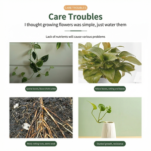 <span class=keywords><strong>Engrais</strong></span> Spécialisé pour Arbres à Argent Solution Nutritive - Product Image 2