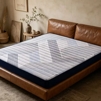 Matelas à ressorts ensachés respirant, taille Queen, personnalisable, avec surmatelas Euro en tissu doux, pour la maison
