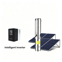 Pompe solaire submersible à double usage AC/DC, haut débit, grand calibre, pour l'irrigation agricole, en acier inoxydable, pour puits profonds