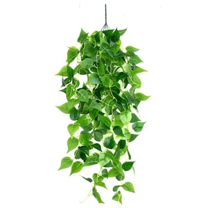 Plante artificielle Pothos 105 cm, plante grimpante verte à cinq branches pour la décoration de la maison et des mariages - Product Image 4