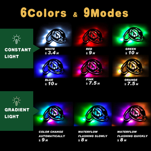 ปลอกคอสุนัขแบบกันน้ำพร้อมสายจูงและสายต่อขยายแบบ USB-C พร้อมไฟ LED สำหรับเดินเล่นตอนกลางคืนเพื่อความปลอดภัย ผลิตตามมาตรฐาน BSCI คุณภาพพรีเมียม - Product Image 2