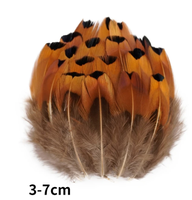 Plumes de faisan naturelles en gros, plumes de paon, petites plumes d'aigle, accessoires d'artisanat, création de bijoux, décoration de fêtes