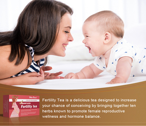 El té de fertilidad Winstown optimiza las posibilidades femeninas de concebir todos los ingredientes herbales naturales Bolsitas de té de fertilidad OEM - Product Image 5