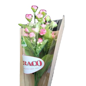 Shandong <span class=keywords><strong>pas</strong></span> <span class=keywords><strong>cher</strong></span> Oem impression personnalisée fleurs fraîches et plantes papier d'emballage impression Cpp emballage manchons de fleurs - Product Image 2