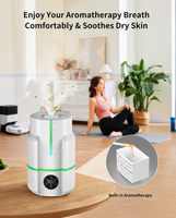 Humidificateur compact avec télécommande, capacité de 6 L et humidification de 350 ml/h
