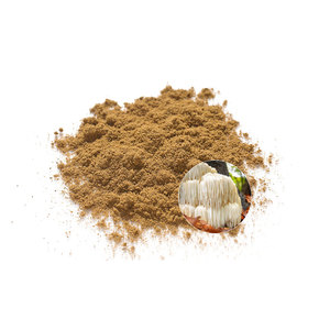 High Purity Organic <b>Lions</b> <b>Mane</b> Herbal <b>Extract</b> Powder <b>Lion's</b> <b>Mane</b> <b>Mushroom</b> Plant <b>Extract</b> - Product Image 2