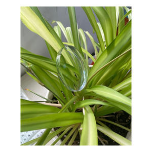 Lunettes <span class=keywords><strong>de</strong></span> <span class=keywords><strong>vue</strong></span> sur ordonnance, verres <span class=keywords><strong>de</strong></span> lecture anti-lumière bleue, lentilles progressives en plastique personnalisées 1.56 HMC pour hommes - Product Image 3