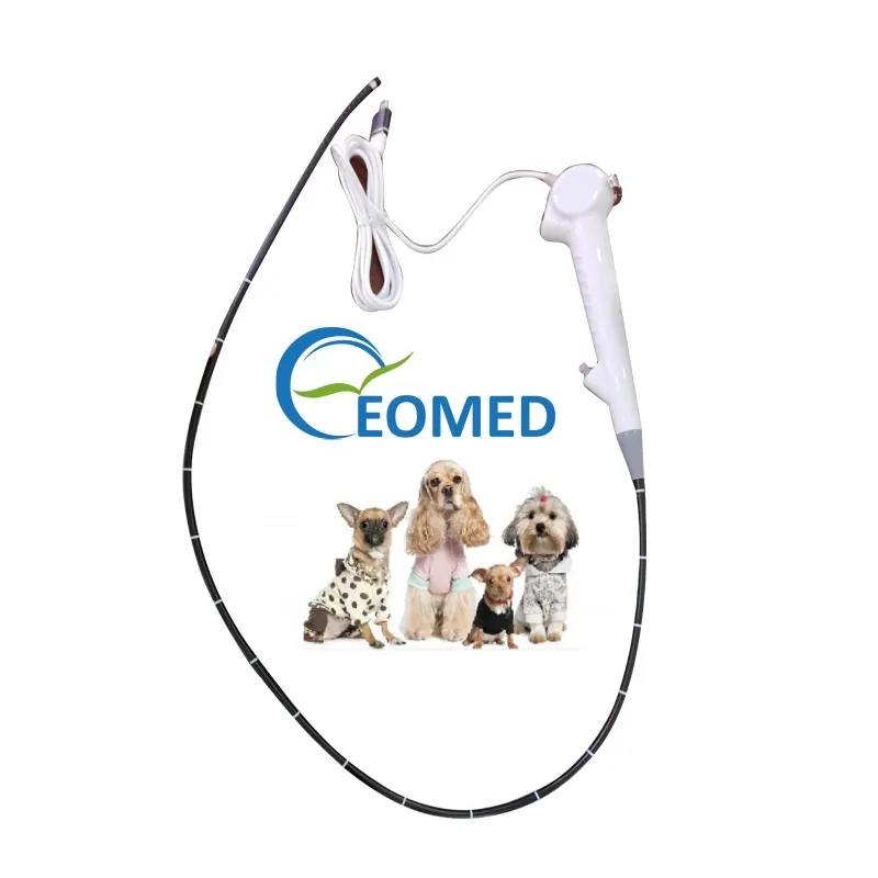 Good Price FVE10-vet Portable Veterinary Flexible USB Endoscope Vet video endoscope made in China