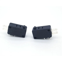 Micro-interrupteur électrique subminiature à levier série WK2-1ZF-HA2 16A
