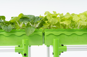 ชุดระบบ aquaponic ขนาดใหญ่สำหรับปลูกผักใบในเรือนเพาะปลูกทางการเกษตร - Product Image 4