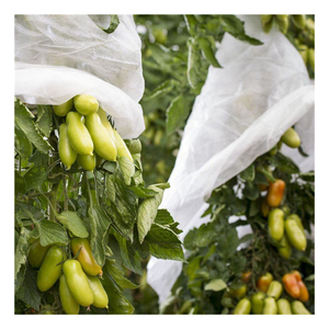 ถุงคลุมกล้วยโพลีโพรพิลีน100% ถุงผ้าไม่ทอสปันบอนด์ถุงป้องกันแบบเต็มรูปแบบมีรูพรุนสำหรับกล้วย - Product Image 1