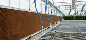 Neue Gongle Kühlplatten für Geflügel- und Hühnerställe mit 1 Jahr Garantie - Product Image 4