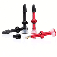 Vanne FV Presta pour vtt, extension en alliage coloré, pour vélo, à bas prix, 40mm/60mm/80mm