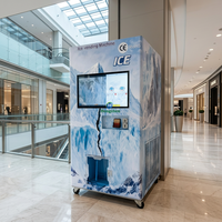 Distributeur automatique de glaçons en libre-service avec système intégré d'ensachage et de scellage, fonctionnant à monnayeur, idéal pour les startups commerciales