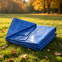 Bâche PE imperméable sur mesure pour bassin, protection voiture, coupe-vent, 4m 6m, résistante à l'eau, anti-UV, tricotée chaîne, Ripstop, tissée enduite unie