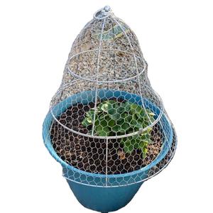 Cloches en fil Samp gratuites Cloche en fil de poulet à l'épreuve des écureuils Empêcher les animaux de <span class=keywords><strong>manger</strong></span> des plantes Couvercle en métal Protection de la cage - Product Image 1