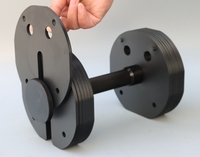 Nouveau Design Insert Type Réglable En Acier Haltère Détachable Professionnel Gym Fitness Insert Carré Decagon Haltère Poids Libre