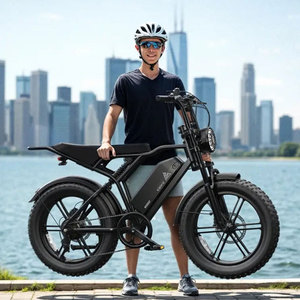 Vélo Électrique Tout-Terrain en Acier à <span class=keywords><strong>Prix</strong></span> de Gros, 20 Pouces, 7 Vitesses, 48V 250W, Vélo Hybride Adulte avec Freins à Disque Hydrauliques et Suspension Avant - Product Image 1